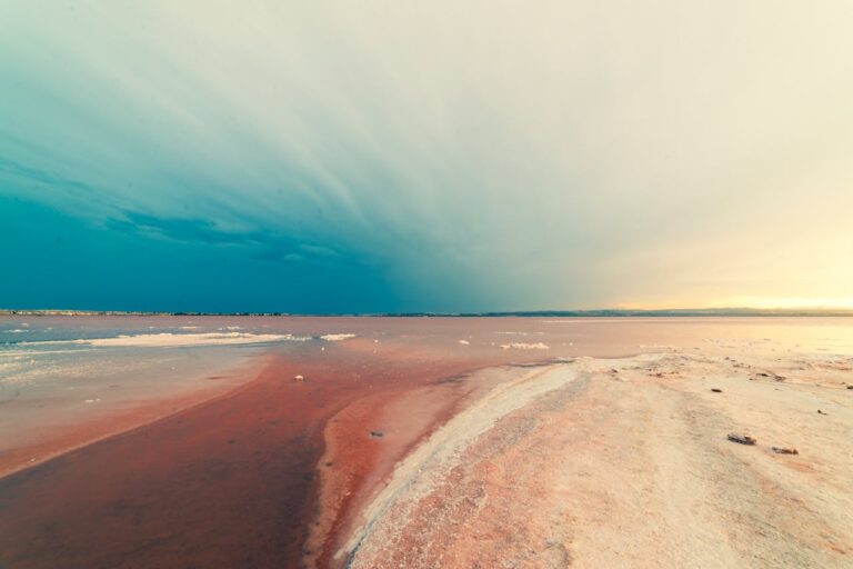 The Pink Lake of Torrevieja